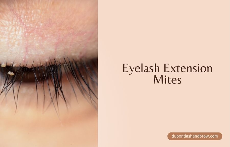 Effective Tips on How to Get Rid of Eyelash Extension Mites