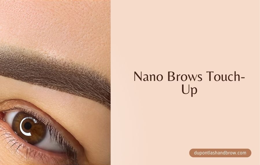 Nano Brows Touch-Up: Everything You Need to Know