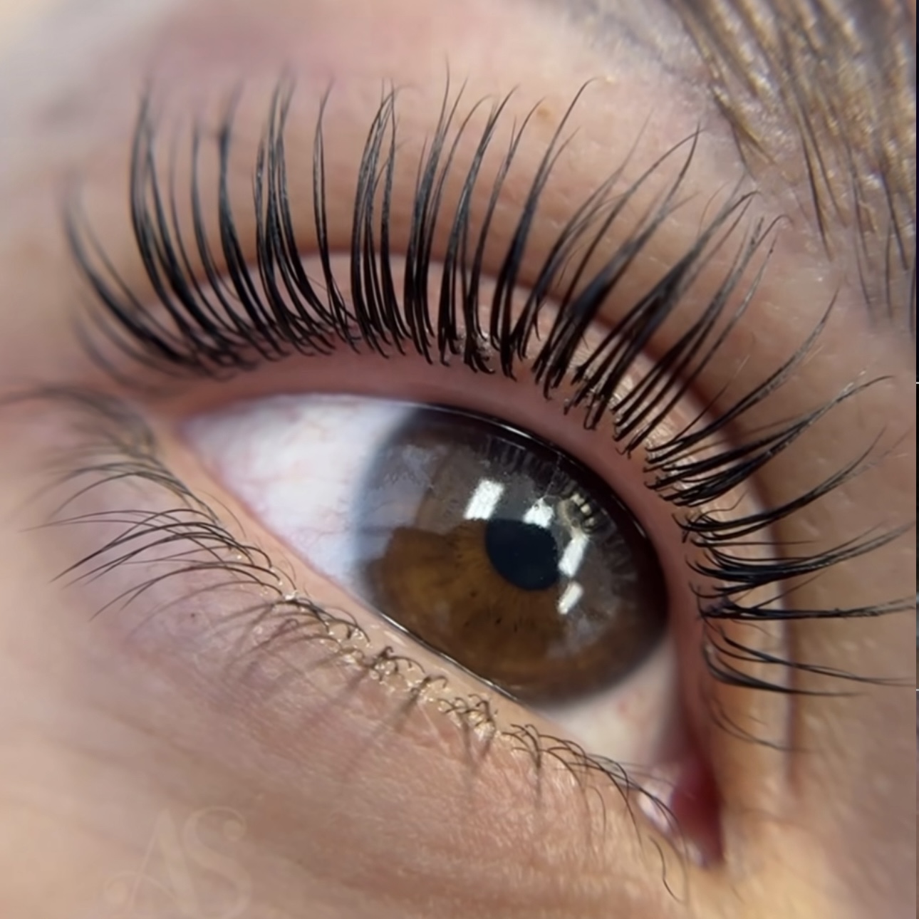 lash lift and tint treatment