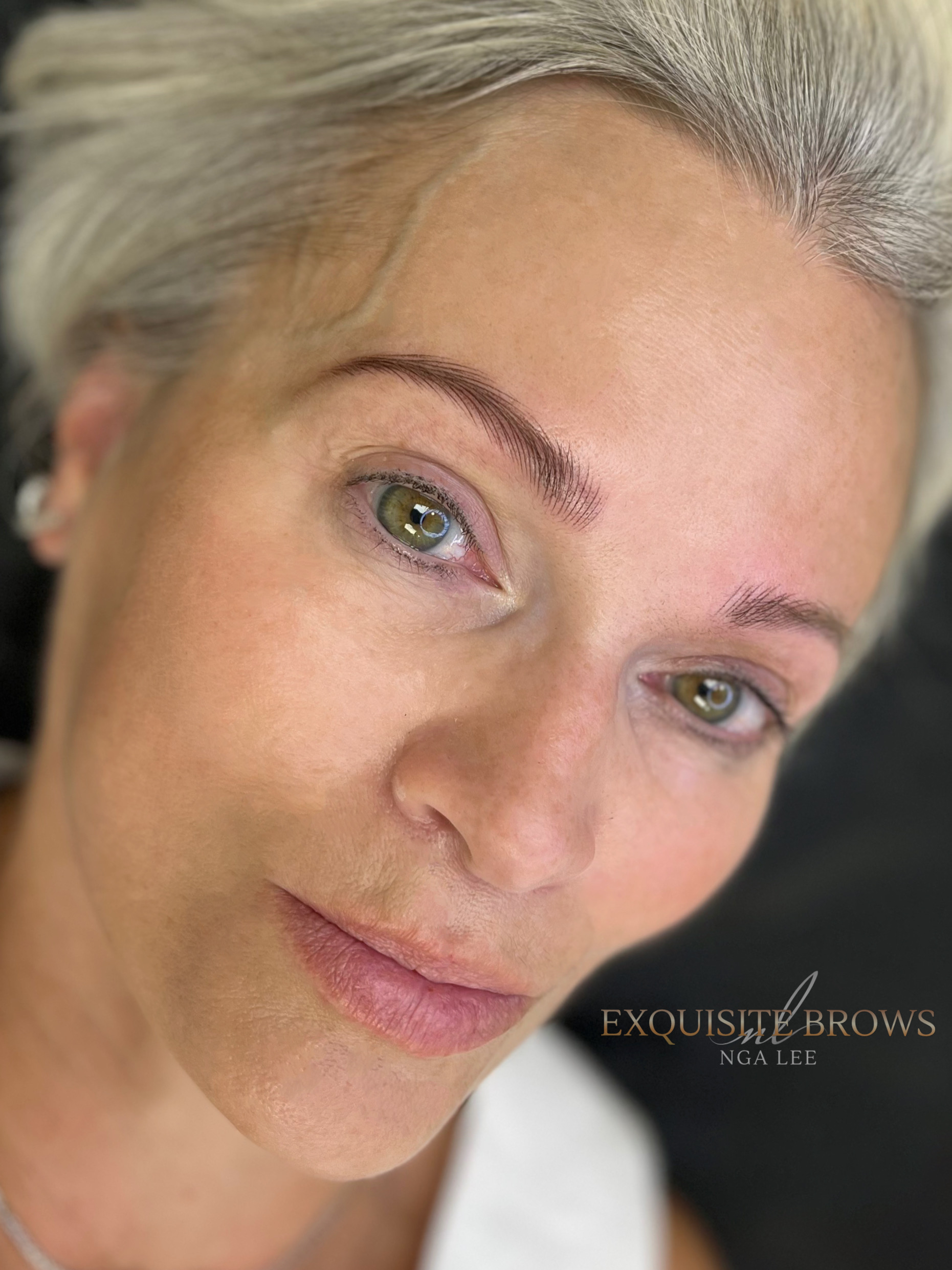 Hair Stroke/Nano brow